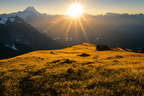 791325570 On our mountains  when the sun  golden hour  swiss alps  Zeiss 50mn  fuji