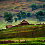 00007-1130968310-landscape of 
