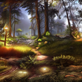 forêt001