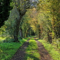 Courfaivre 