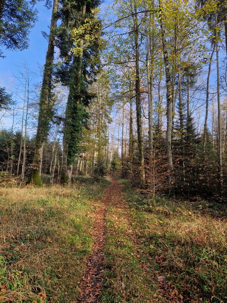 20241109_145949.jpg
